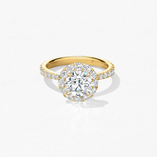 Vela Halo Ring with Diamond Band