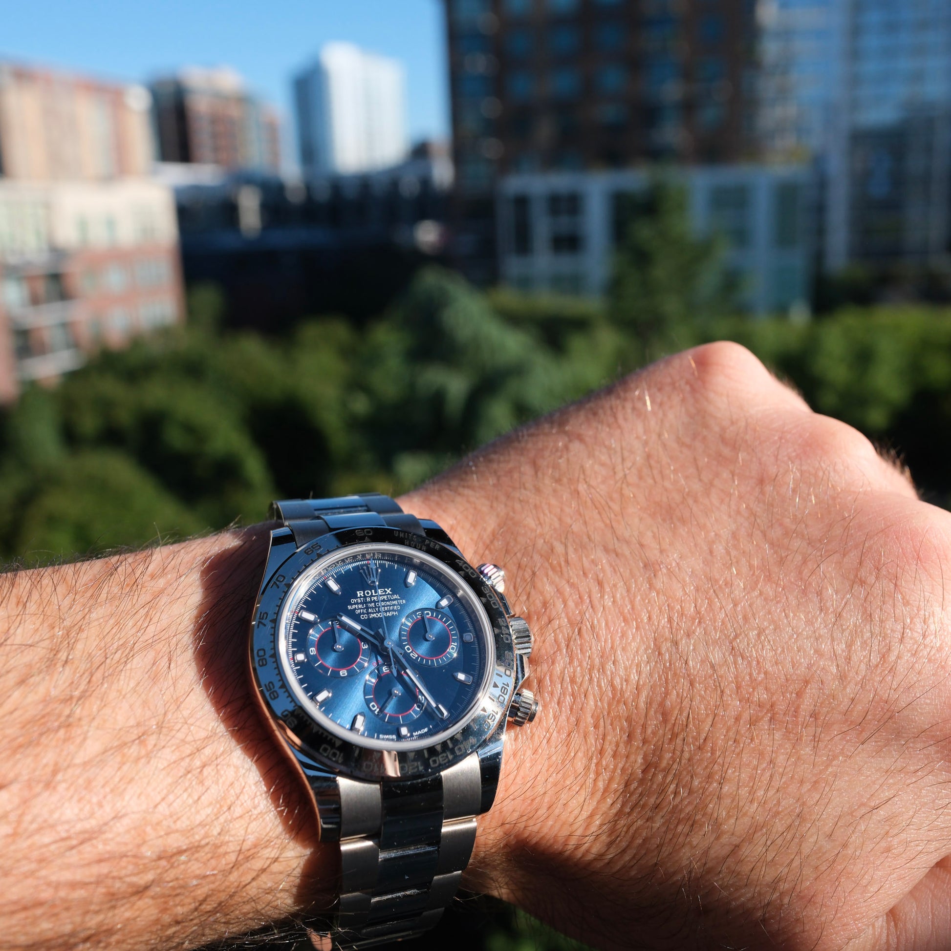 116509 Blue Wrist 116509, Daytona, Sodalite Dial, White Gold